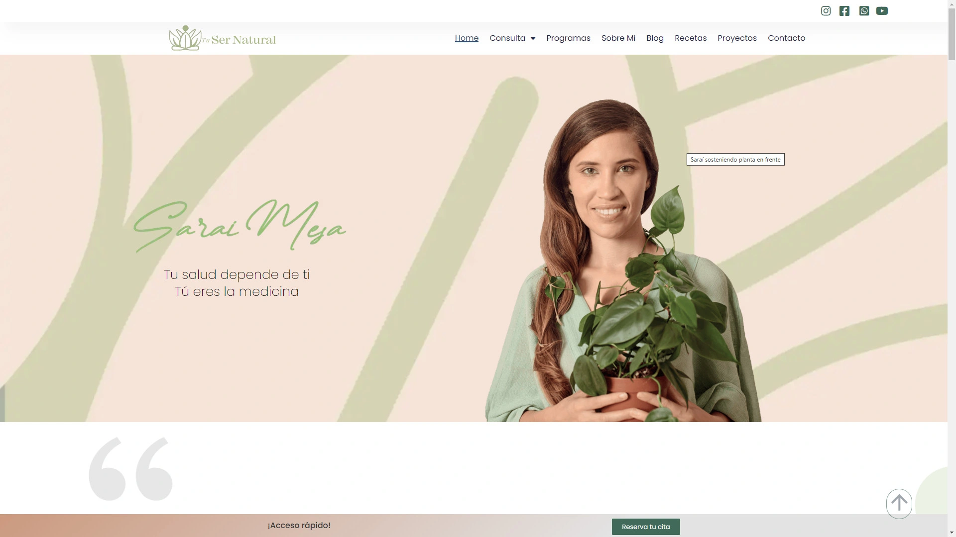 Vista previa del proyecto tusernatural.com